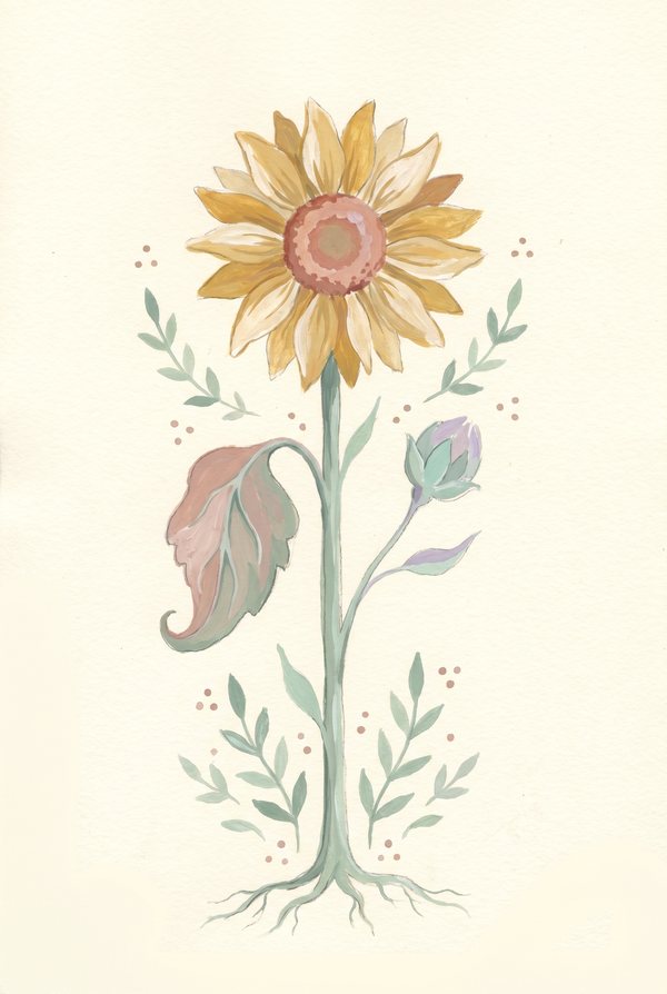 A botanical study of a sunflower with leaves and roots on a cream background