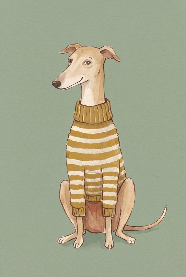 A greyhound sitting upright in a mustard and cream striped jumper